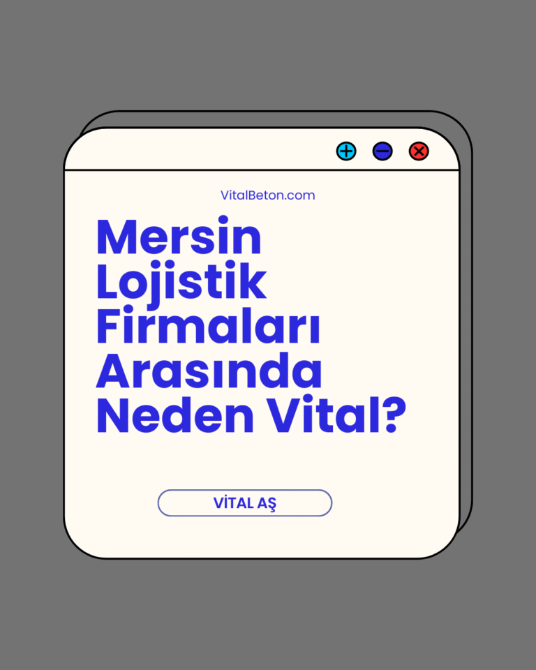 Mersin Lojistik Firmaları Arasında Neden Vital?